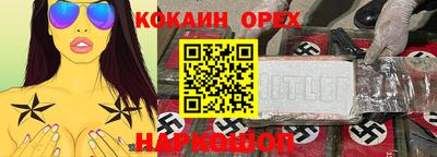 крисы Кинель