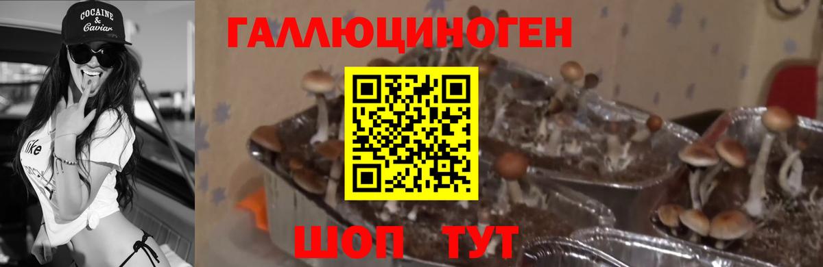 Псилоцибиновые грибы Cubensis  Псилоцибиновые грибы мицелий  как найти закладки  Вход с VPN  Балтийск 